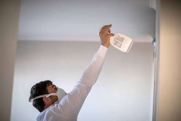 Best Certified Mold Removal  in Highland Park, MI