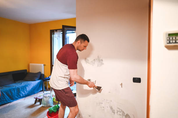 Best Mold Removal Specialists  in Highland Park, MI